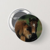 Miniatuur Foals 2 Ronde Button 5,7 Cm (Voorkant /achterkant)