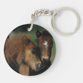 Miniatuur Foals 2 Sleutelhanger (Achterkant)