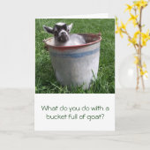 Miniatuur Goat in a Bucket Greeting Card Kaart (Gele Bloem)