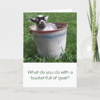 Miniatuur Goat in a Bucket Greeting Card Kaart