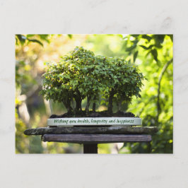 Miniatuur Green Forest Bonsai Pot Pedestal Leaves Briefkaart