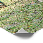 Miniatuur Horse Foal - Gepersonaliseerd Colt & Fil Poster (Hoek)