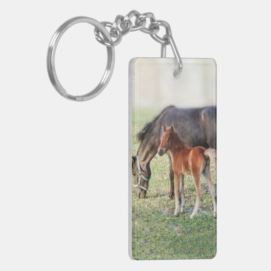 Miniatuur Horse Foal - Gepersonaliseerd Colt & Fil Sleutelhanger (Voorkant Links)
