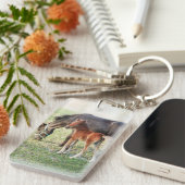 Miniatuur Horse Foal - Gepersonaliseerd Colt & Fil Sleutelhanger (Voorkant Rechts)