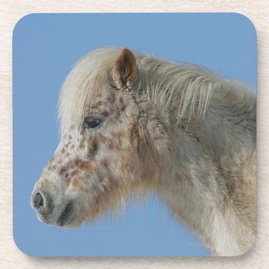 Miniatuur Horse Headshot Bier Onderzetter (Voorkant)