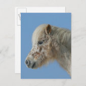 Miniatuur Horse Headshot Briefkaart (Voorkant / Achterkant)