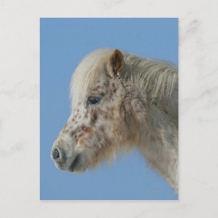 Miniatuur Horse Headshot Briefkaart
