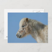 Miniatuur Horse Headshot Briefkaart (Voorkant / Achterkant)