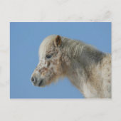 Miniatuur Horse Headshot Briefkaart (Voorkant)