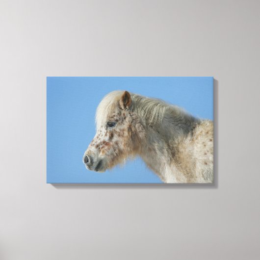 Miniatuur Horse Headshot Canvas Afdruk (Voorkant)