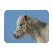 Miniatuur Horse Headshot Magneet (Horizontaal)