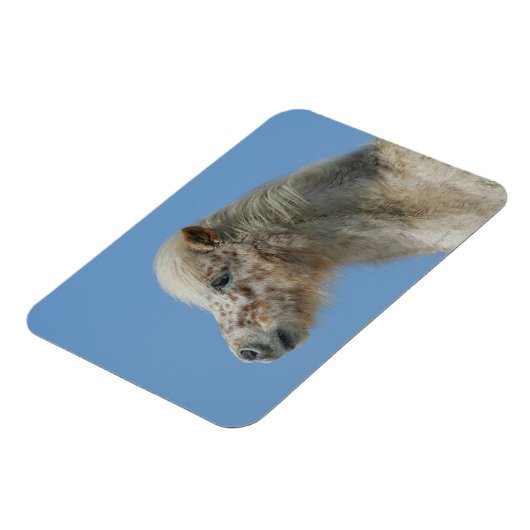 Miniatuur Horse Headshot Magneet (Linkerzijde)