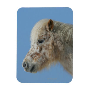 Miniatuur Horse Headshot Magneet