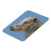 Miniatuur Horse Headshot Magneet (Linkerzijde)