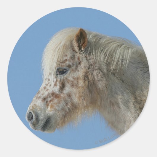 Miniatuur Horse Headshot Ronde Sticker (Voorkant)