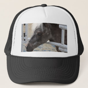 Miniatuur Horse Trucker Pet