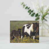 Miniatuur Mare & Foal in de bloemen Briefkaart (Staand voorkant)
