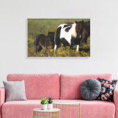 Miniatuur Mare & Foal in de bloemen Canvas Afdruk (Insitu (Woonkamer))