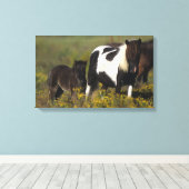 Miniatuur Mare & Foal in de bloemen Canvas Afdruk (Insitu (Houten vloer))