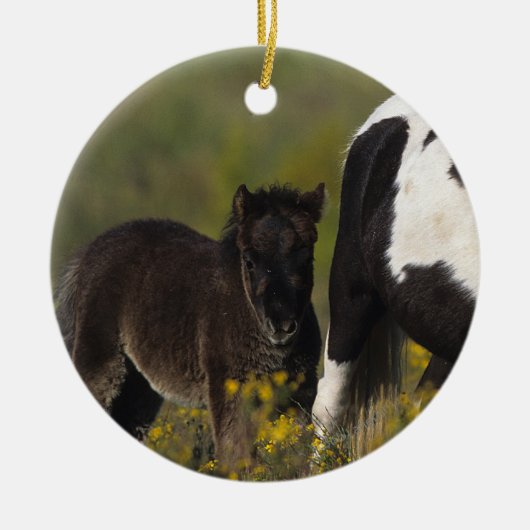 Miniatuur Mare & Foal in de bloemen Keramisch Ornament (Voorkant)