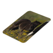 Miniatuur Mare & Foal in de bloemen Magneet (Linkerzijde)