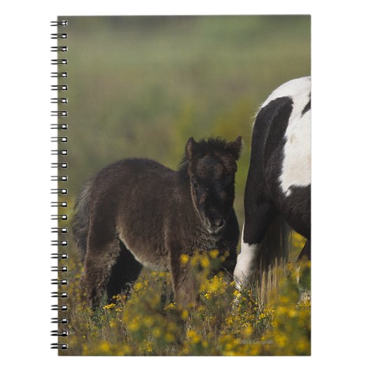 Miniatuur Mare & Foal in de bloemen Notitieboek (Voorkant)