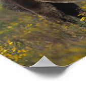 Miniatuur Mare & Foal in de bloemen Poster (Hoek)