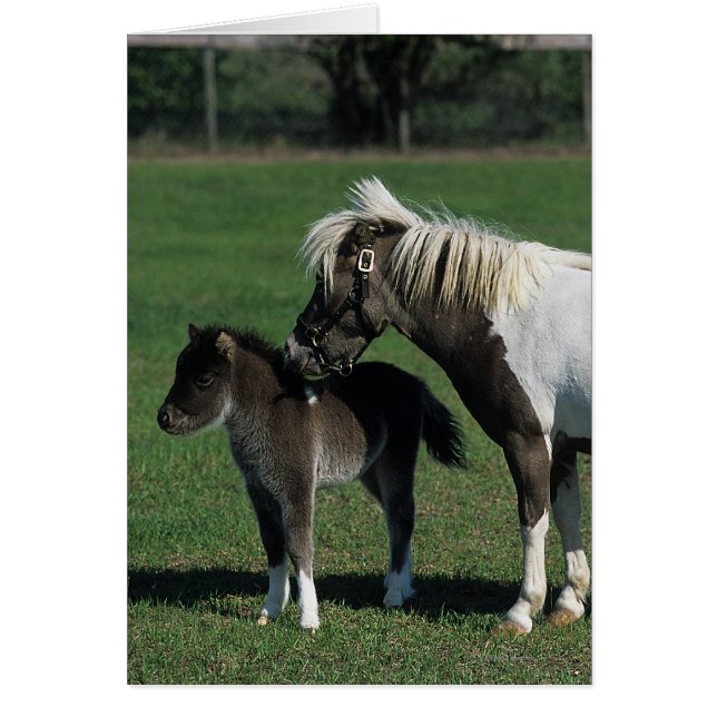 Miniatuur Mare & Foal Standing (Voorkant)