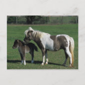 Miniatuur Mare & Foal Standing Briefkaart (Voorkant)