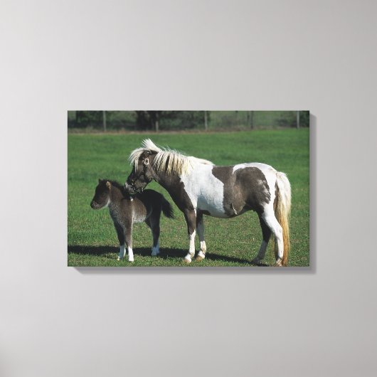 Miniatuur Mare & Foal Standing Canvas Afdruk (Voorkant)