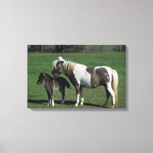 Miniatuur Mare & Foal Standing Canvas Afdruk