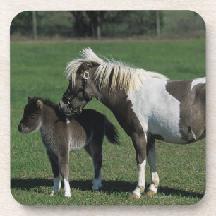 Miniatuur Mare & Foal Standing Drankjes Onderzetter