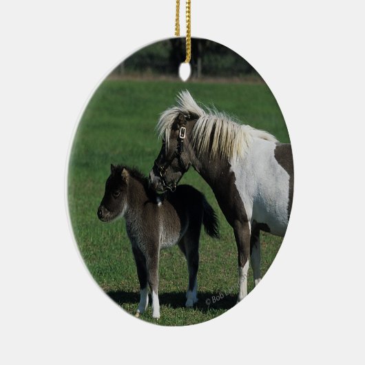 Miniatuur Mare & Foal Standing Keramisch Ornament (Rechts)
