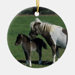 Miniatuur Mare & Foal Standing Keramisch Ornament