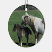 Miniatuur Mare & Foal Standing Keramisch Ornament (Links)