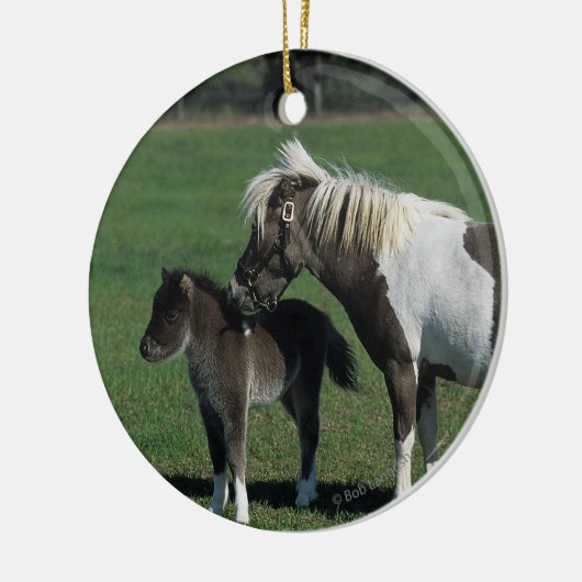 Miniatuur Mare & Foal Standing Keramisch Ornament (Links)