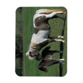 Miniatuur Mare & Foal Standing Magneet (Verticaal)