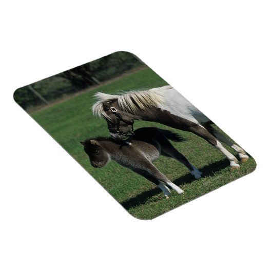 Miniatuur Mare & Foal Standing Magneet (Rechterzijde)