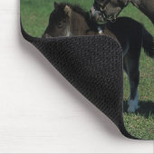 Miniatuur Mare & Foal Standing Muismat (Hoek)