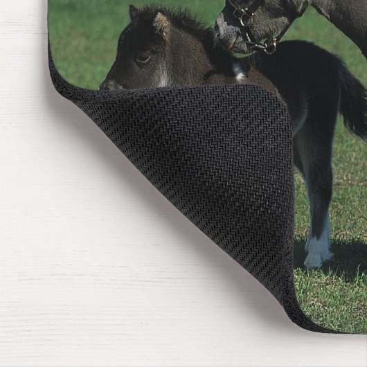 Miniatuur Mare & Foal Standing Muismat (Hoek)