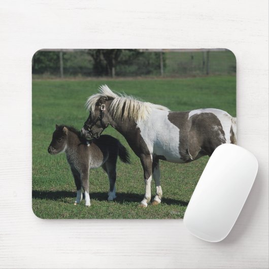 Miniatuur Mare & Foal Standing Muismat (Met muis)