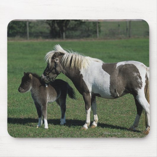 Miniatuur Mare & Foal Standing Muismat (Voorkant)