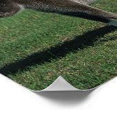 Miniatuur Mare & Foal Standing Poster (Hoek)