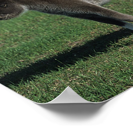 Miniatuur Mare & Foal Standing Poster (Hoek)