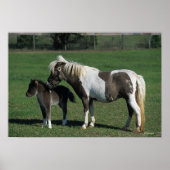 Miniatuur Mare & Foal Standing Poster (Voorkant)