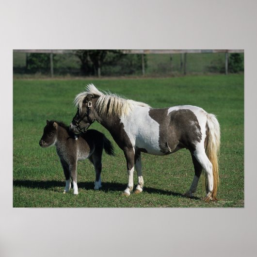 Miniatuur Mare & Foal Standing Poster (Voorkant)