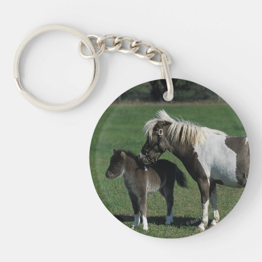 Miniatuur Mare & Foal Standing Sleutelhanger (Voorkant)