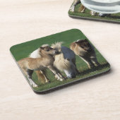 Miniatuur Mare & Foals 1 Bier Onderzetter (Linkerzijde)