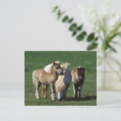 Miniatuur Mare & Foals 1 Briefkaart (Staand voorkant)