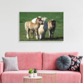 Miniatuur Mare & Foals 1 Canvas Afdruk (Insitu (Woonkamer))
